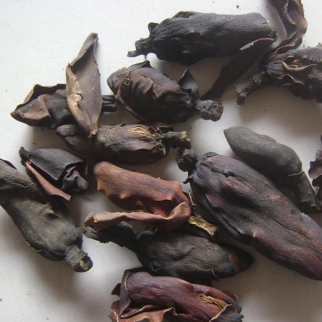 中药厚朴饮片的选择与服用常识